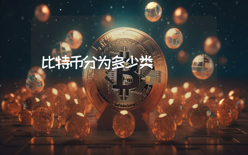 比特币分为多少类