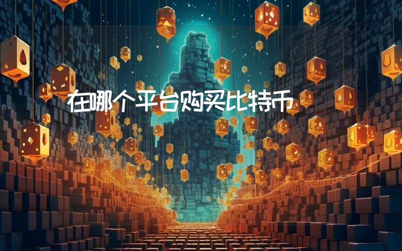 在哪个平台购买比特币