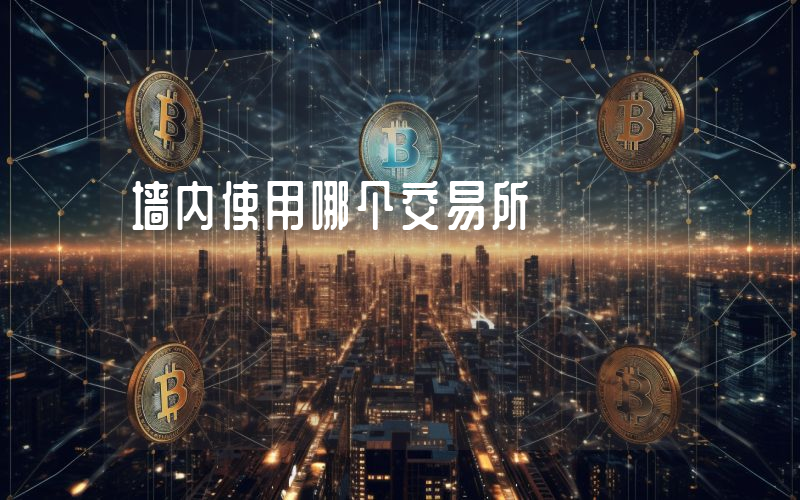 墙内使用哪个交易所