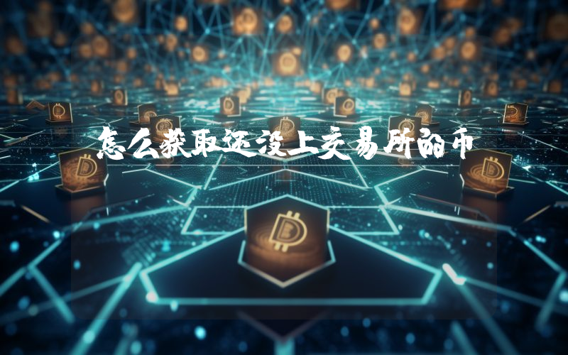 怎么获取还没上交易所的币