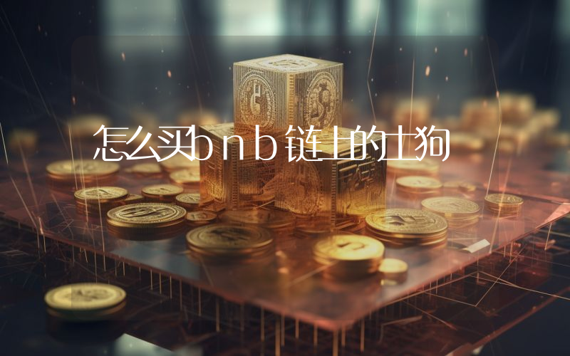 怎么买bnb链上的土狗