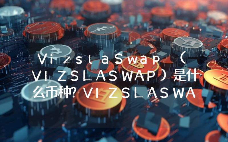 VizslaSwap (VIZSLASWAP)是什么币种？VIZSLASWAP币值得投资吗？