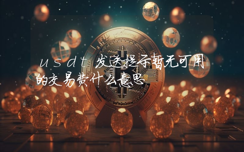 usdt发送提示暂无可用的交易费什么意思