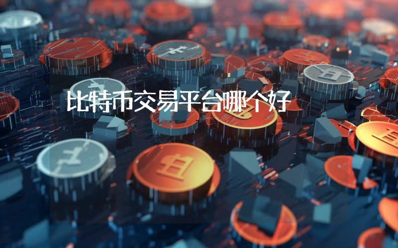 比特币交易平台哪个好