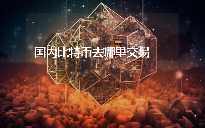 国内比特币去哪里交易