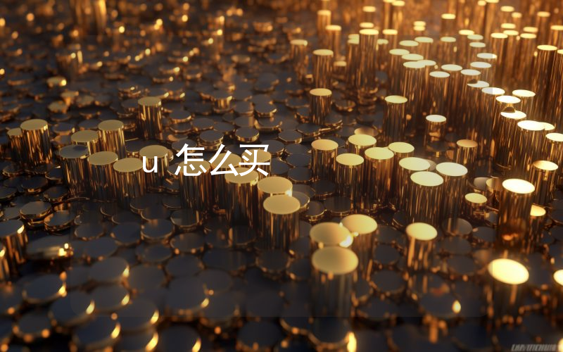 u怎么买