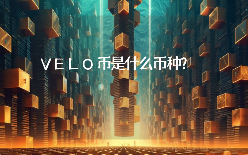 VELO币是什么币种?