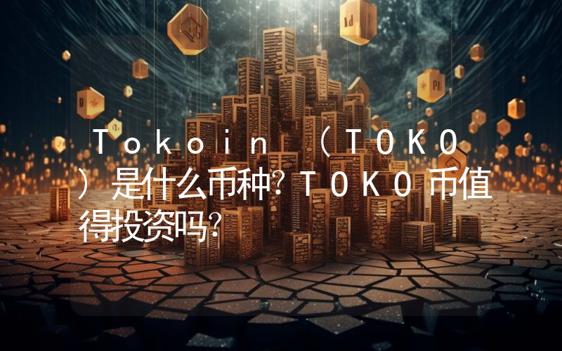 Tokoin (TOKO)是什么币种？TOKO币值得投资吗？