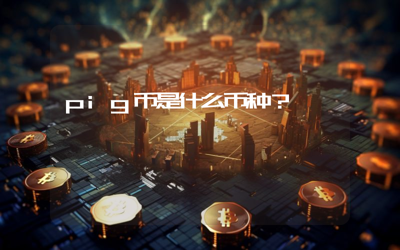 pig币是什么币种?