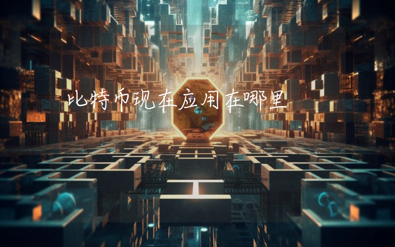 比特币现在应用在哪里