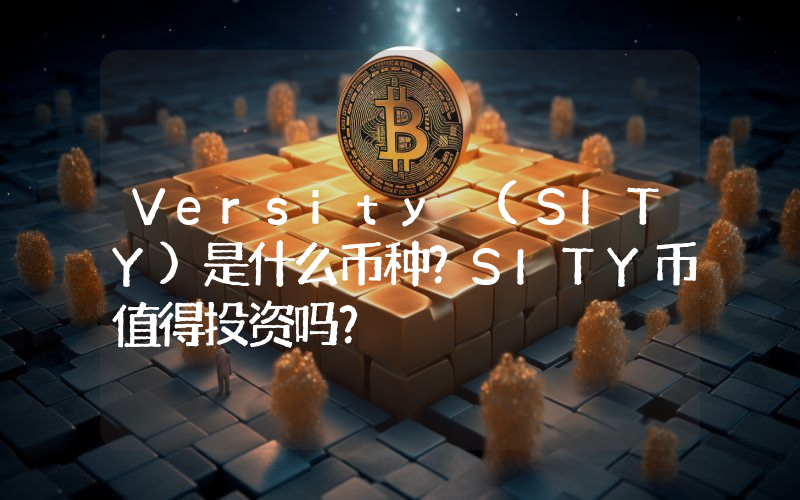 Versity (SITY)是什么币种？SITY币值得投资吗？
