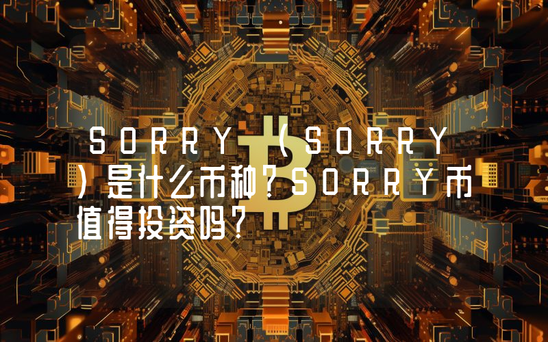 SORRY (SORRY)是什么币种？SORRY币值得投资吗？