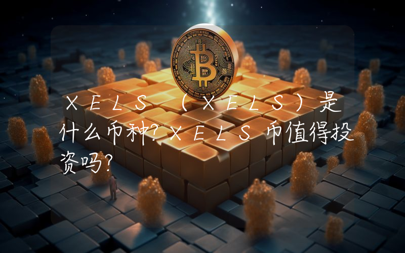 XELS (XELS)是什么币种？XELS币值得投资吗？