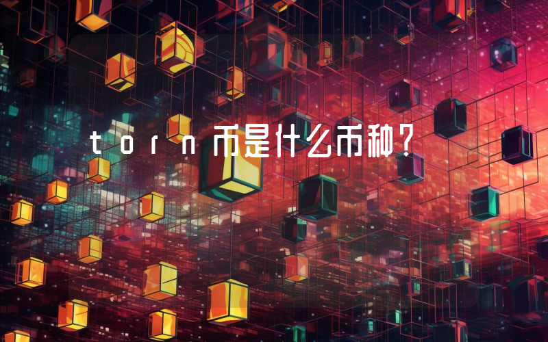 torn币是什么币种?
