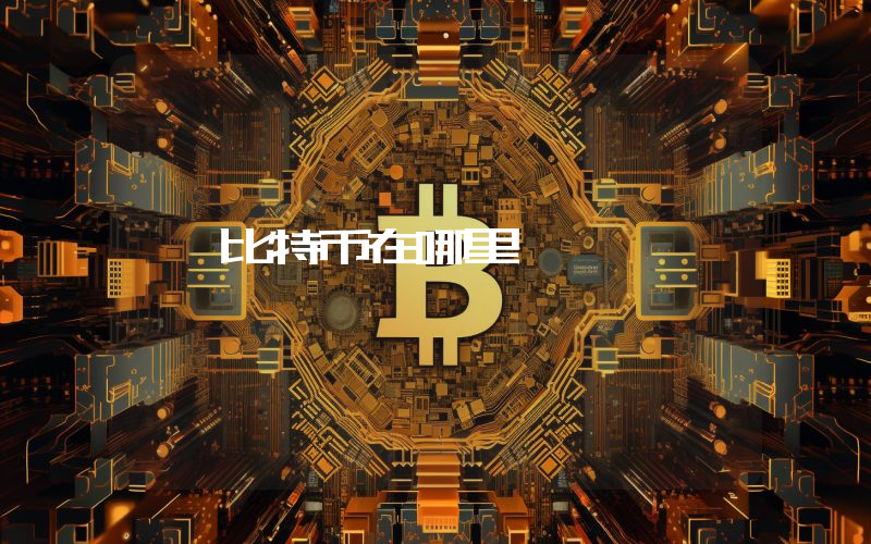 比特币在哪里