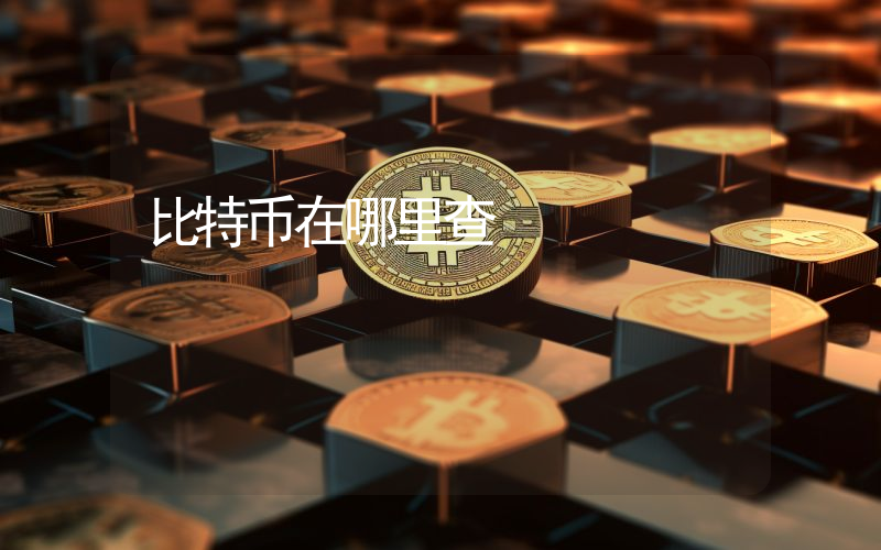 比特币在哪里查