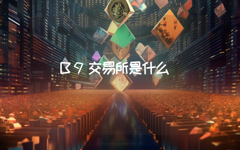 B9交易所是什么