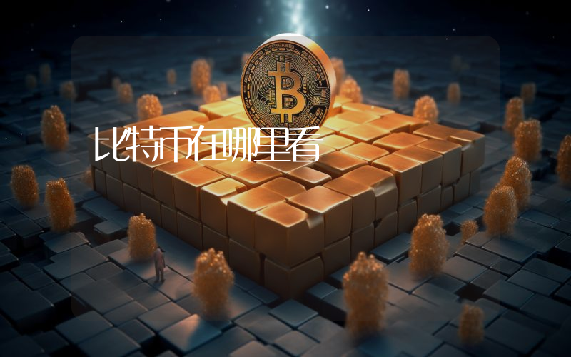 比特币在哪里看