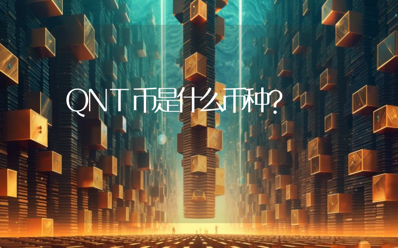 QNT币是什么币种?
