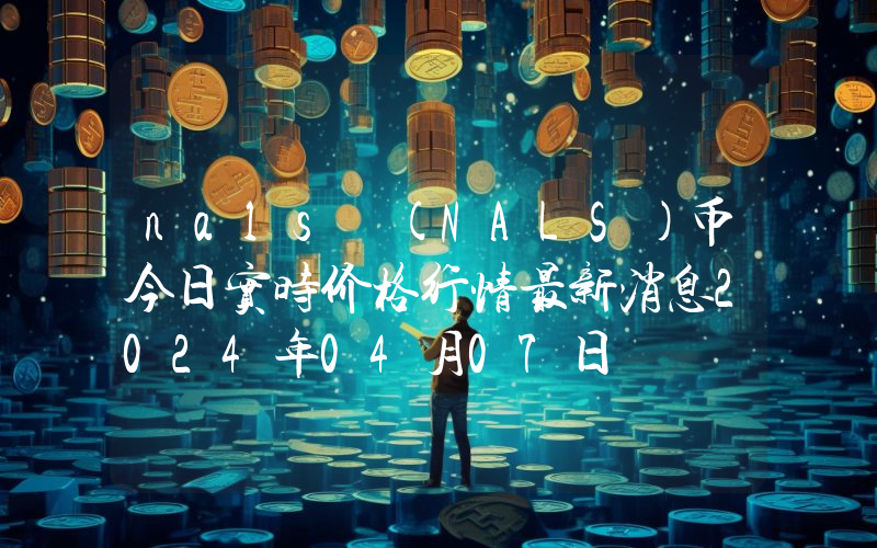 nals (NALS)币今日实时价格行情最新消息2024年04月07日