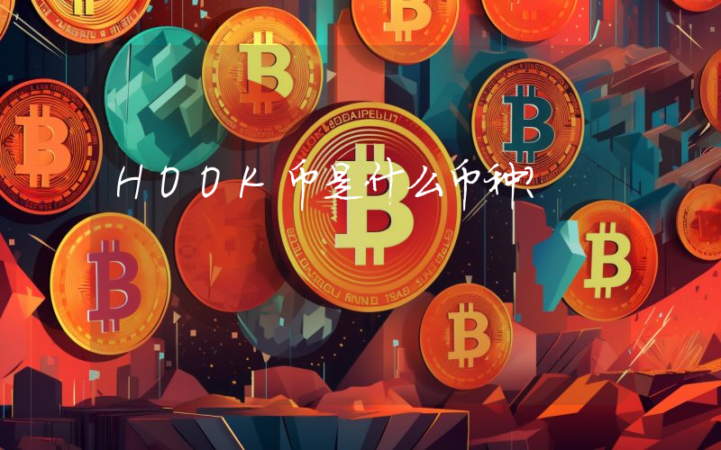HOOK币是什么币种?