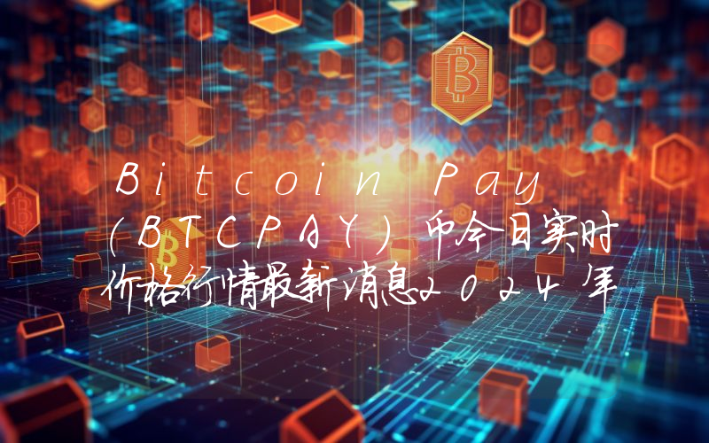 Bitcoin Pay (BTCPAY)币今日实时价格行情最新消息2024年04月07日