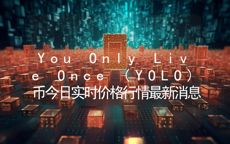 You Only Live Once (YOLO)币今日实时价格行情最新消息2024年04月07日