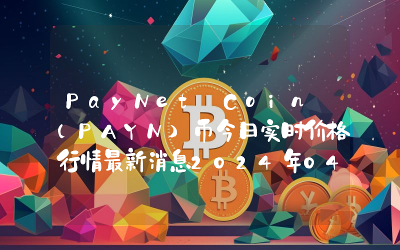 PayNet Coin (PAYN)币今日实时价格行情最新消息2024年04月07日