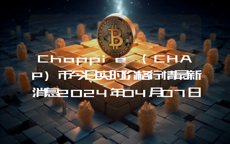 Chappie (CHAP)币今日实时价格行情最新消息2024年04月07日
