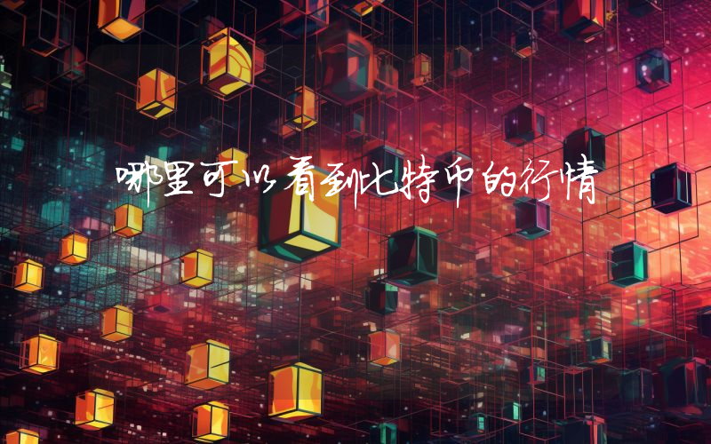 哪里可以看到比特币的行情