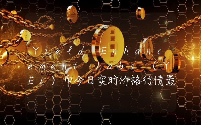 Yield Enhancement Labs (YEL)币今日实时价格行情最新消息2024年04月07日