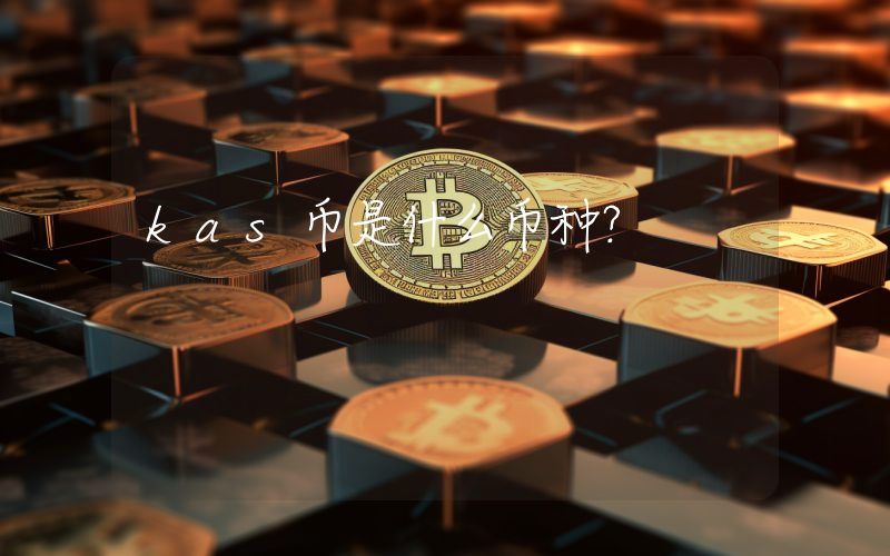 kas币是什么币种?