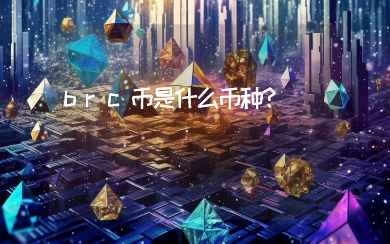 brc币是什么币种?