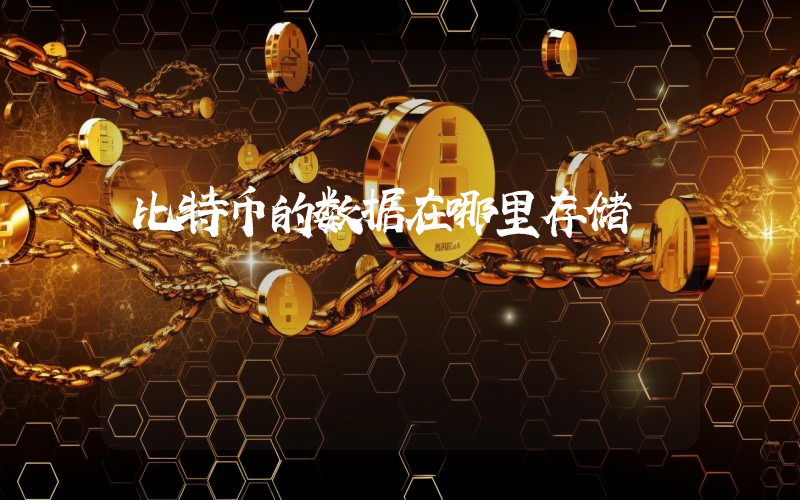 比特币的数据在哪里存储