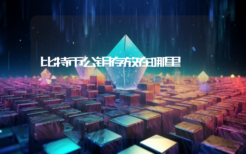 比特币公钥存放在哪里