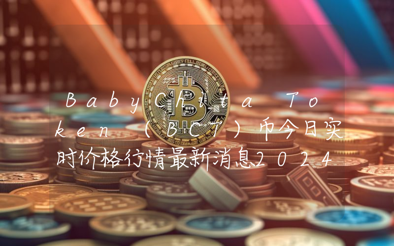BabyChita Token (BCT)币今日实时价格行情最新消息2024年04月07日