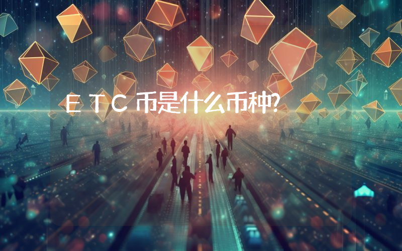 ETC币是什么币种?
