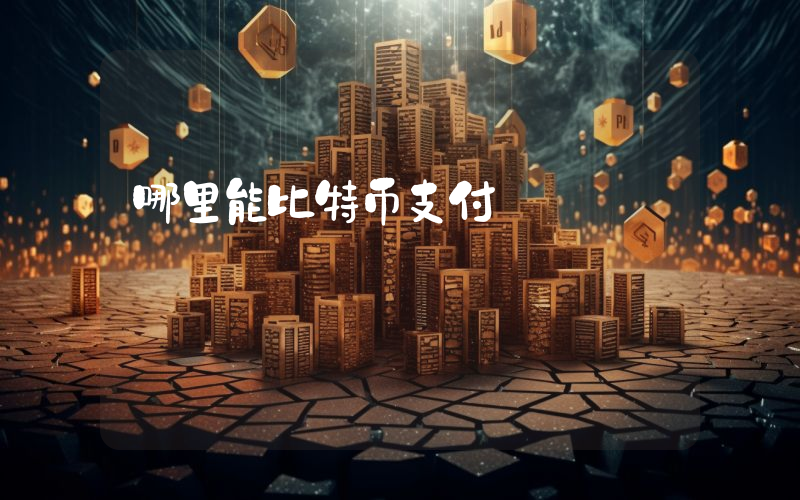 哪里能比特币支付