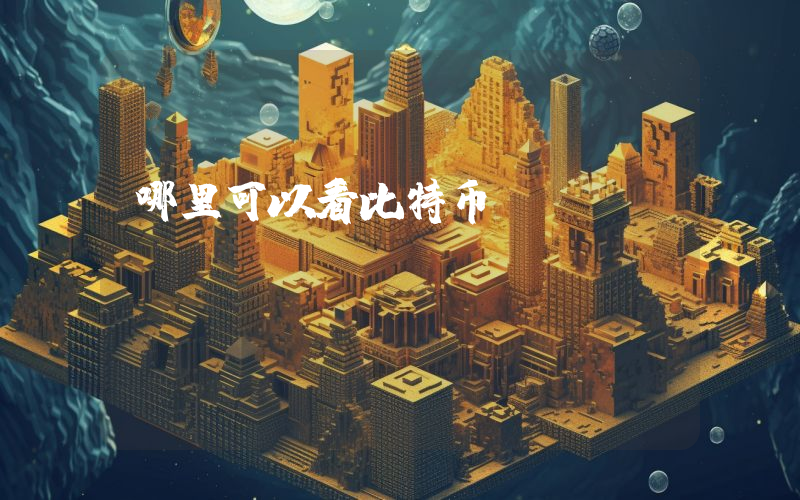 哪里可以看比特币