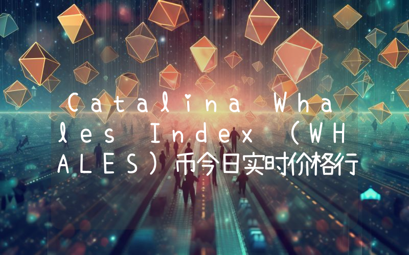 Catalina Whales Index (WHALES)币今日实时价格行情最新消息2024年04月07日