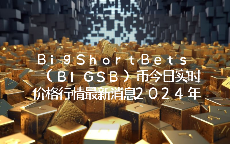 BigShortBets (BIGSB)币今日实时价格行情最新消息2024年04月07日