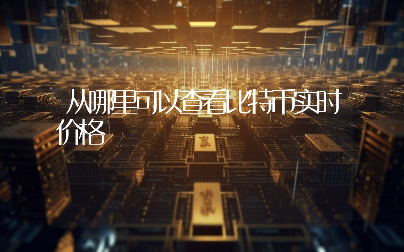 从哪里可以查看比特币实时价格