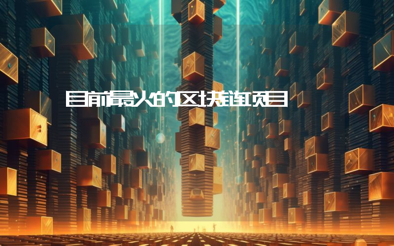 目前最火的区块链项目