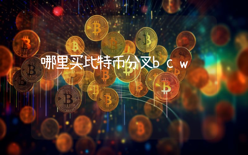 哪里买比特币分叉bcw