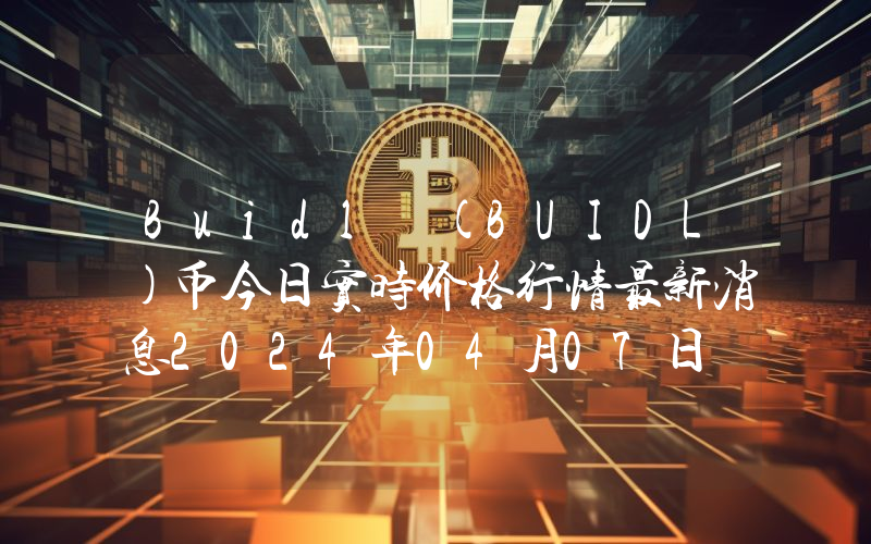Buidl (BUIDL)币今日实时价格行情最新消息2024年04月07日
