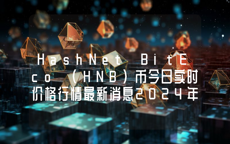 HashNet BitEco (HNB)币今日实时价格行情最新消息2024年04月07日