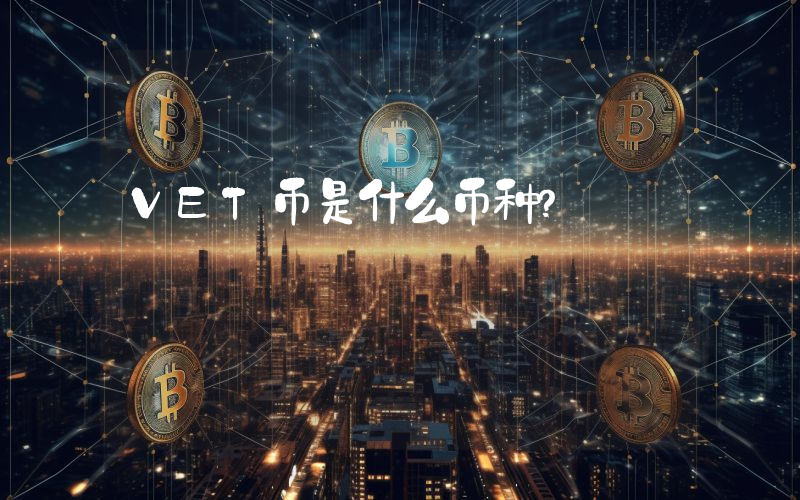VET币是什么币种?
