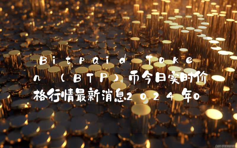 Bitpaid Token (BTP)币今日实时价格行情最新消息2024年04月07日