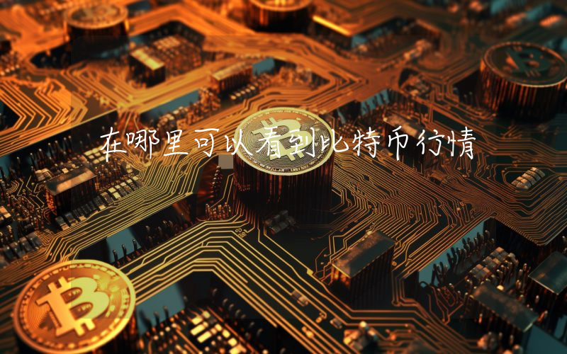 在哪里可以看到比特币行情
