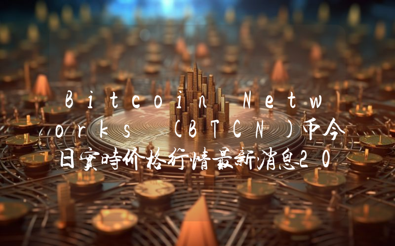 Bitcoin Networks (BTCN)币今日实时价格行情最新消息2024年04月07日